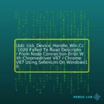 Usb: Usb_Device_Handle_Win.Cc:1020 Failed To Read Descriptor From Node Connection Error With Chromedriver V87 / Chrome V87 Using Selenium On Windows10