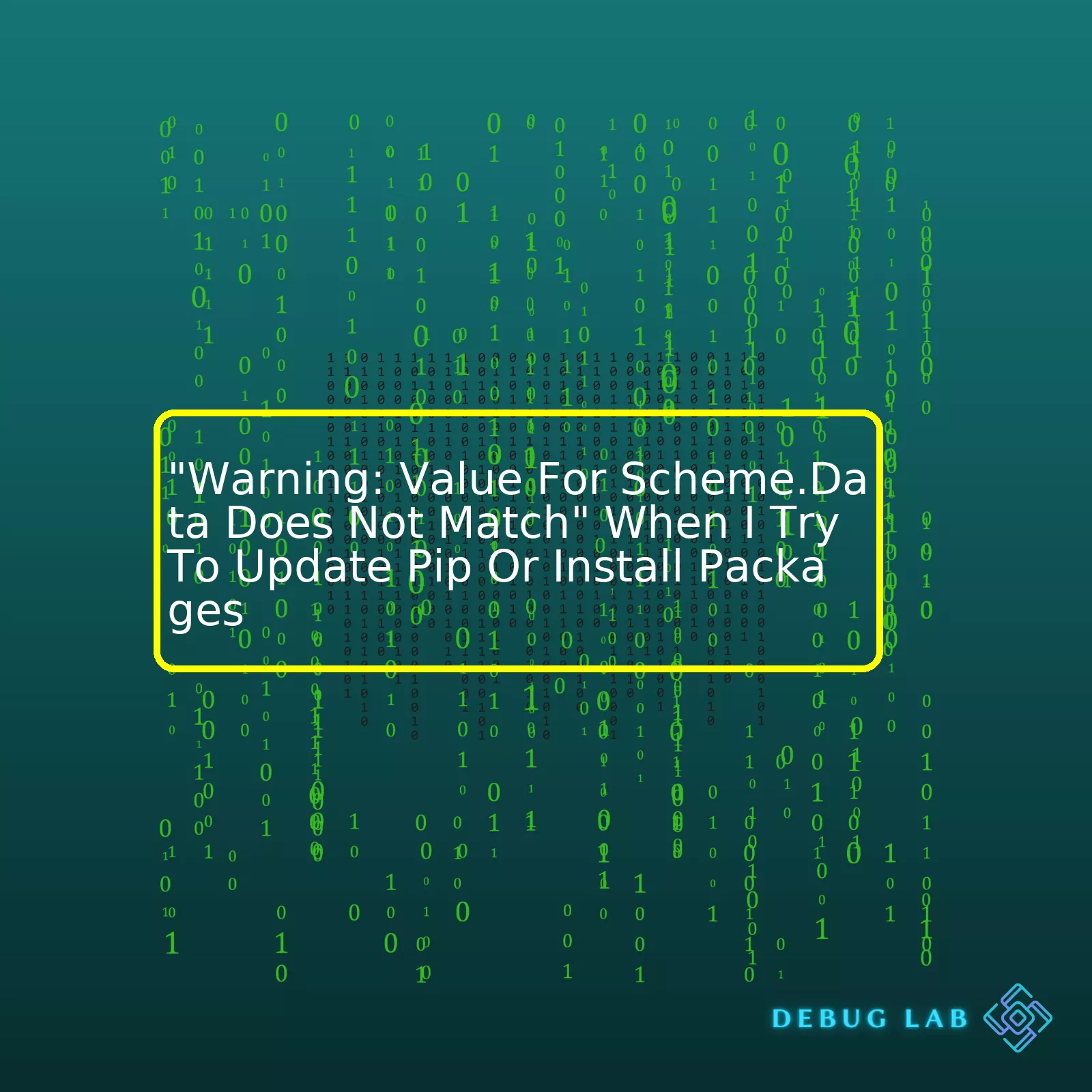 "Warning: Value For Scheme.Data Does Not Match" When I Try To Update Pip Or Install Packages