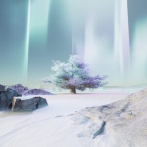 Stable Diffusion (Couldn’T Install Torch & Pip Version)