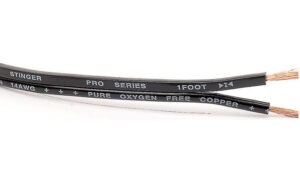 Google Speaker Review