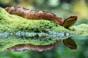 Modern Python Development: Boosting Productivity with High-Performance Tooling