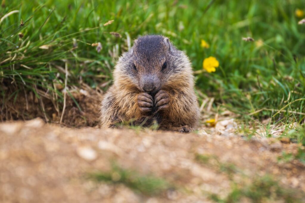 The “Groundhog Day” Loop: Why AI Debugging Fails at Scale (And How to Fix It)