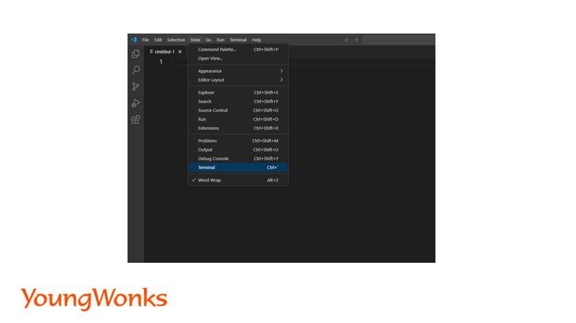 computer terminal command line code - How to Open Terminal in Visual Studio Code?